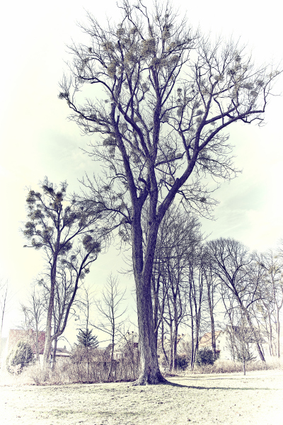 1_DSCF7678