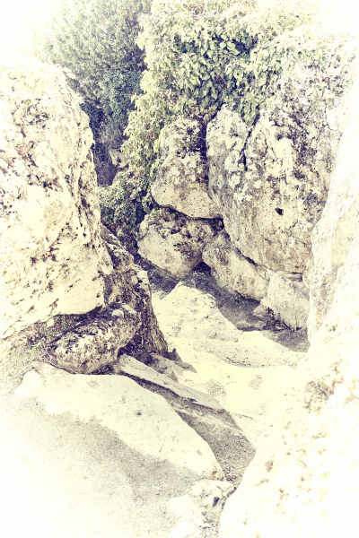 1_DSCF7694