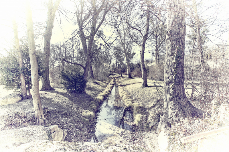 1_DSCF7738