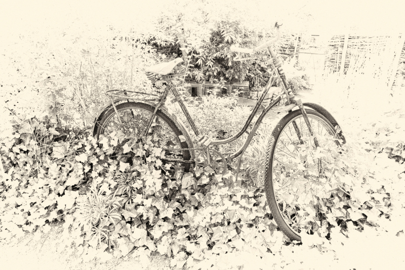 DSCF0545