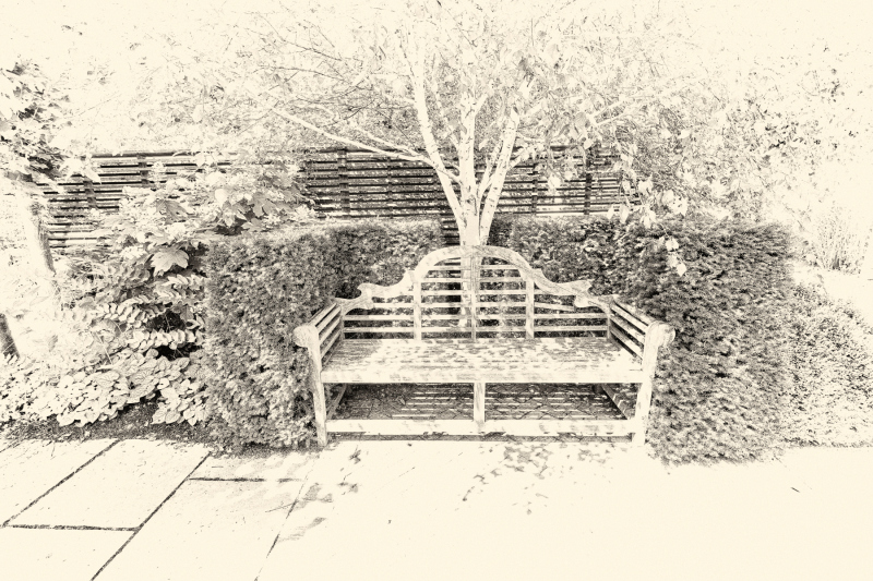 DSCF0552
