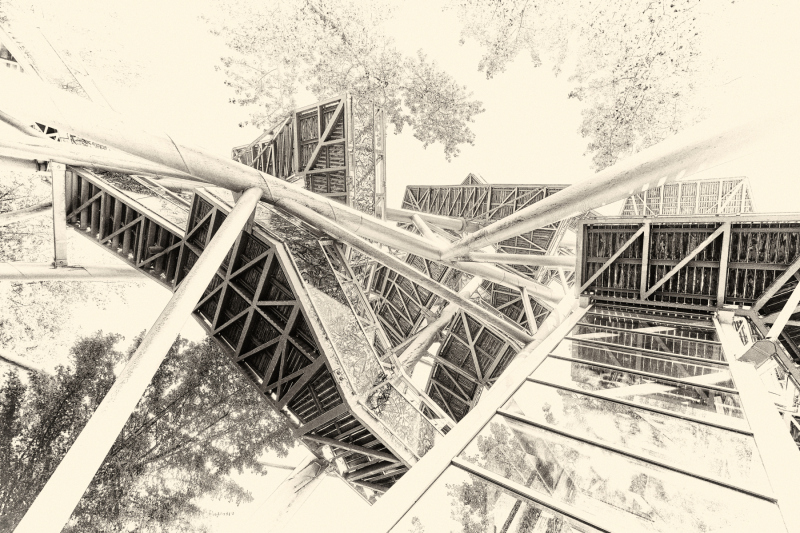 DSCF0560