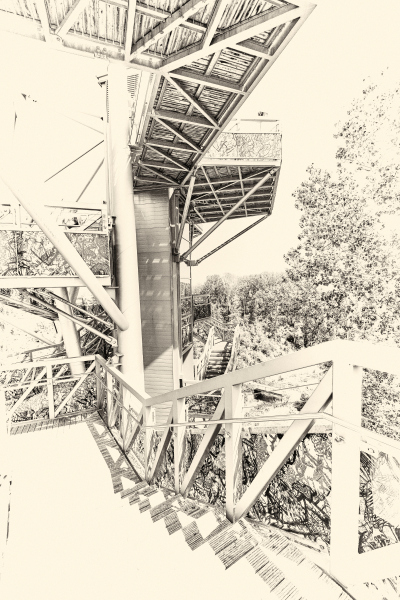 DSCF0575