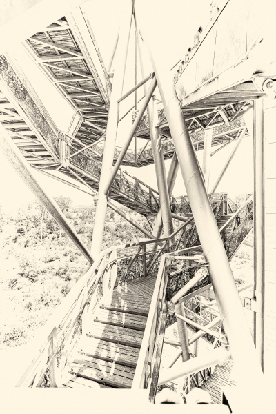 DSCF0581