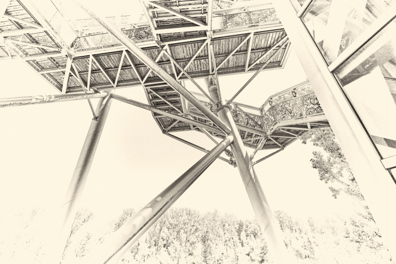 DSCF0584