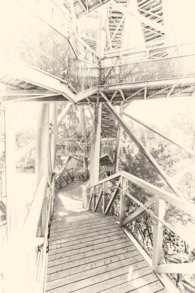 DSCF0590