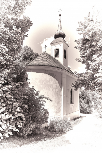 DSCF0486